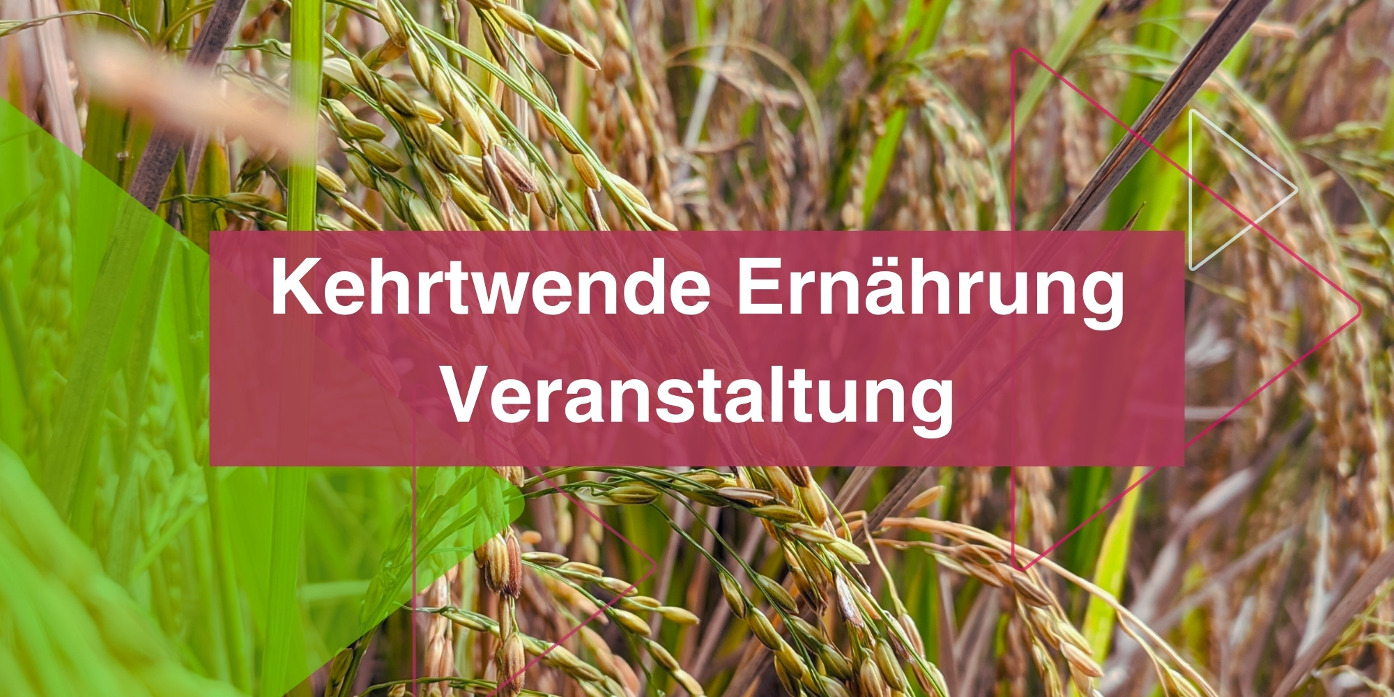 Ankündigung: “Die Zukunft unserer Ernährung: Endloskrise oder Transformationsrevolution?”