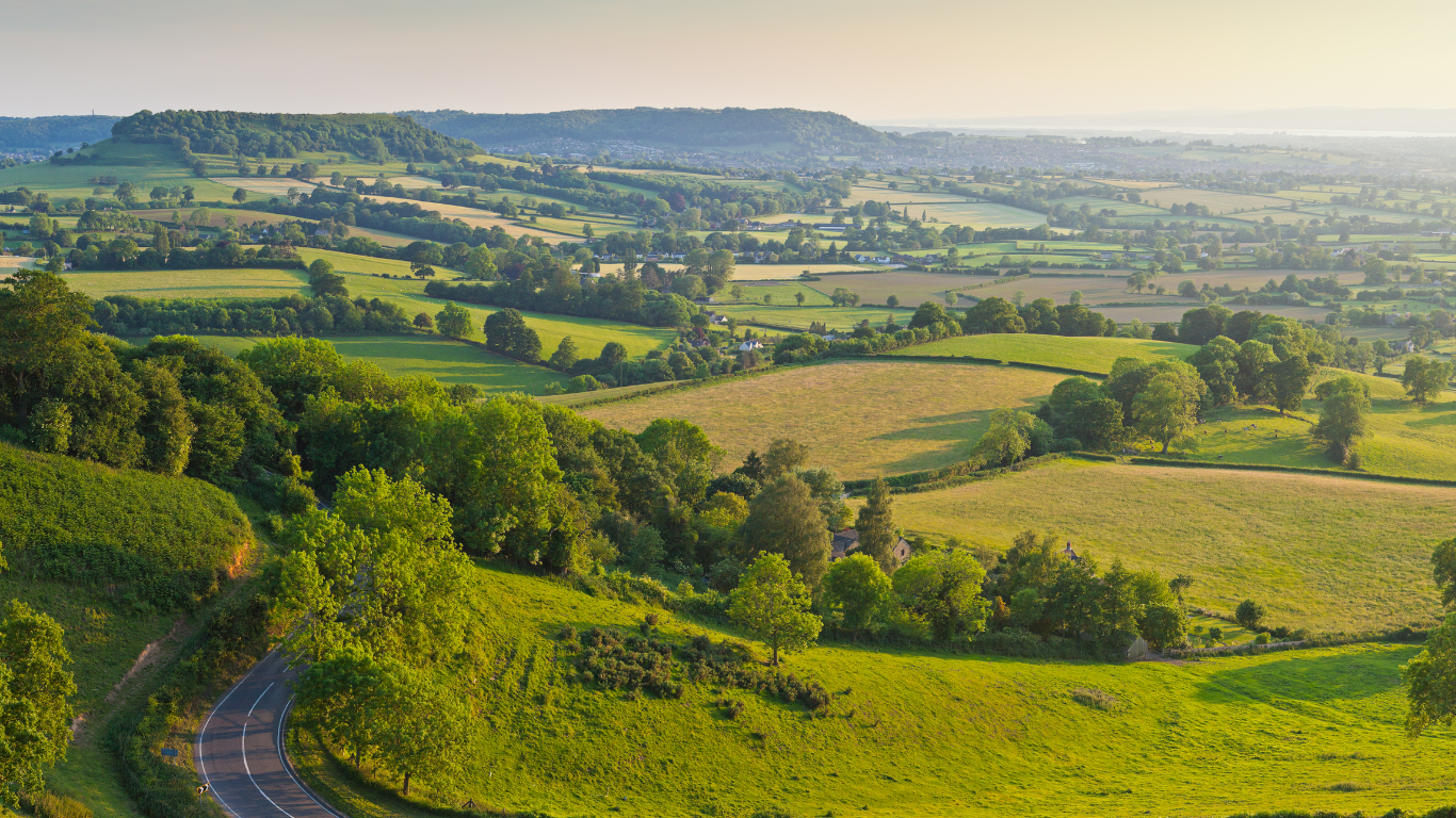 Rural Idyll, Agriculture and Food from the Laboratory